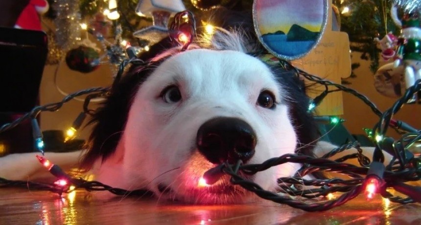 Sin pirotecnia sonora en tres departamentos