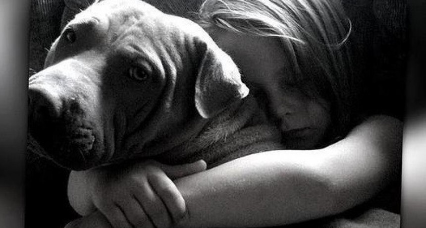 A pesar de su prohibici&oacute;n lo mismo se us&oacute; pirotecnia sonora 