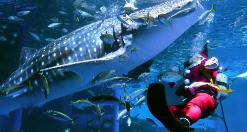 Los festejos de Navidad en todo el mundo