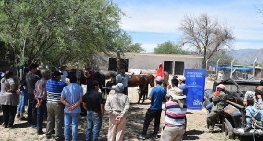 Remataron animales secuestrados en la v&iacute;a p&uacute;blica