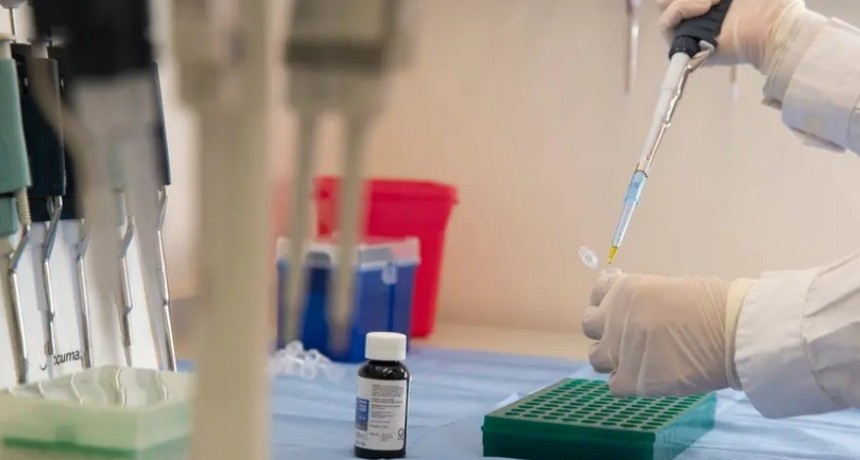 Epilepsia refractaria: un tratamiento del Garrahan con cannabis logró el 80% de efectividad