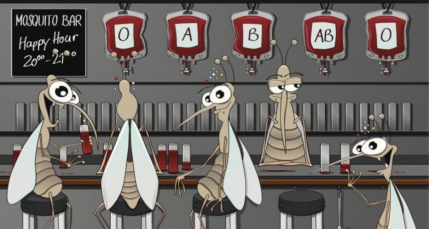 Mosquitos prefieren picar a las personas que toman cerveza