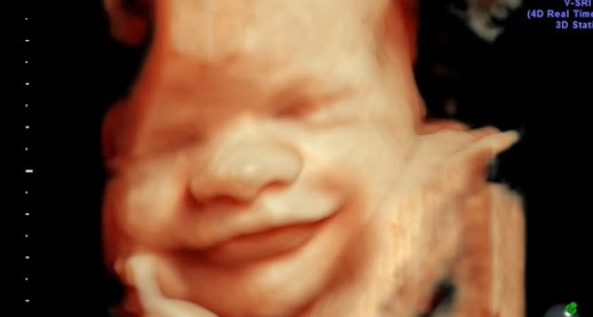 Reír, llorar, soñar y otras cosas increíbles que hace un bebé