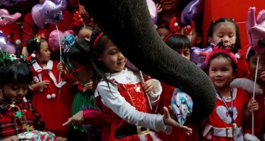 Elefantes disfrazados de Papá Noel repartieron regalos de Navidad en una escuela de Tailandia
