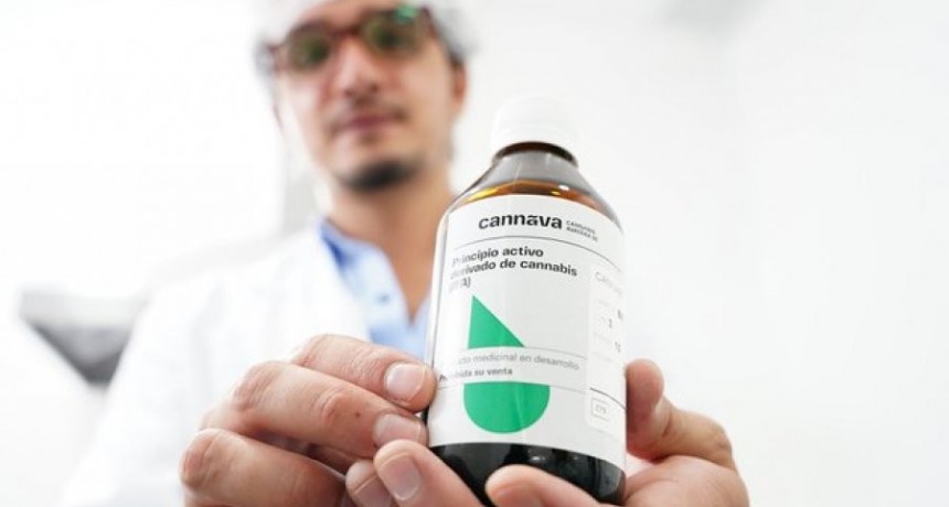 Jujuy presentó el primer producto medicinal de cannabis hecho en Argentina: “Es una planta virtuosa”