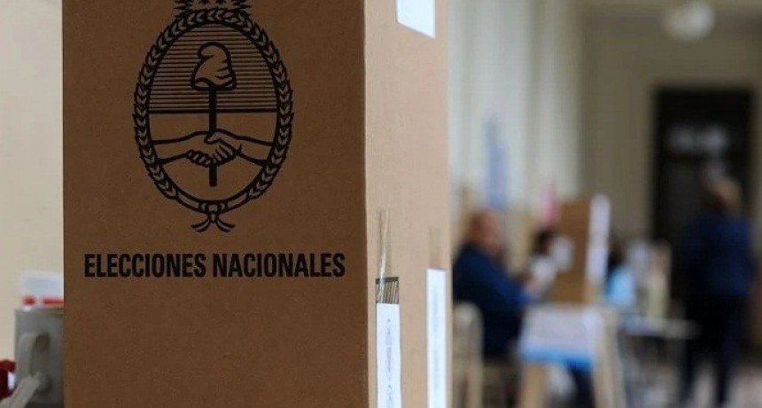 Las PASO se suspenderían por única vez en 2021