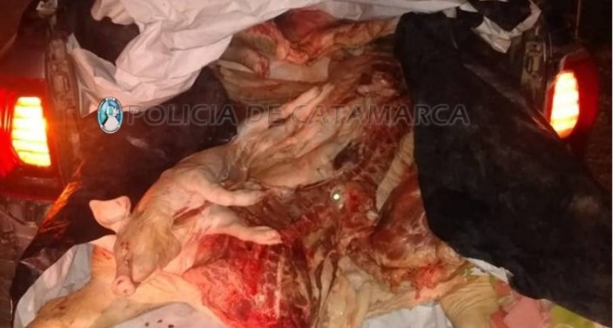 Secuestraron 400 kilos de carne en un puesto caminero en Valle Viejo