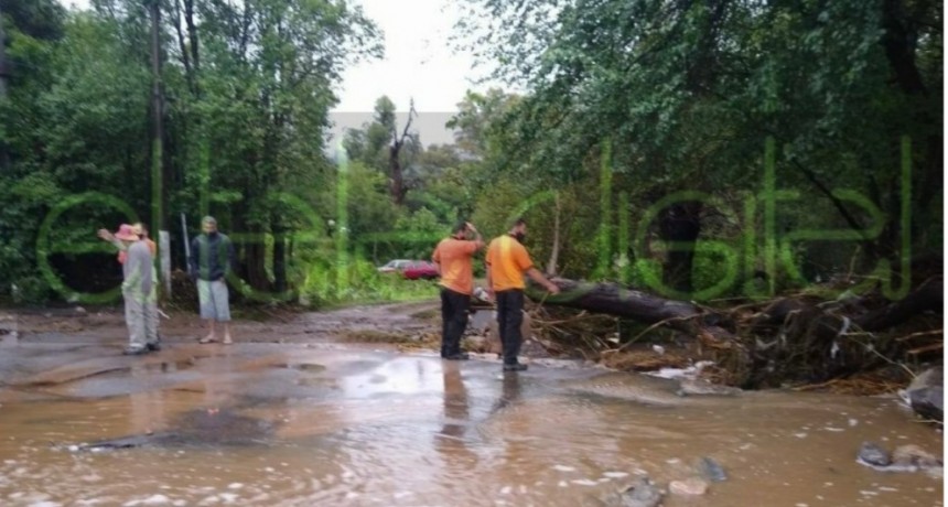 El Rodeo: casas inundadas, rutas cortadas y familias evacuadas