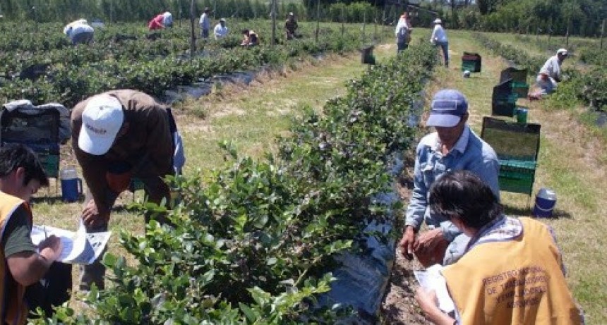 Asignación extraordinaria para el personal que se desempeña en  tareas de recolección de Granos y oleoginosas