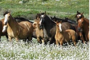 Ya son más de 300 los casos de encefalomielitis