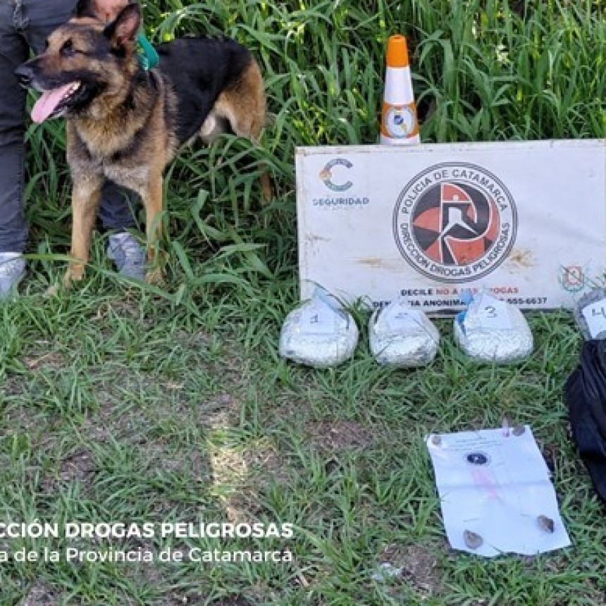 Secuestran casi dos kilos de Marihuana en Paclín